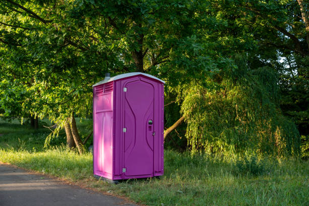 Portable Toilet Options We Offer in Toluca, IL